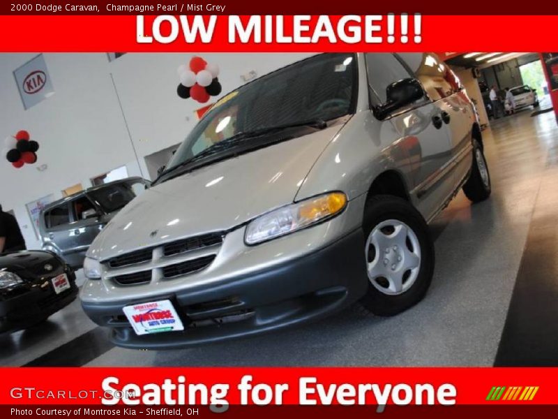 Champagne Pearl / Mist Grey 2000 Dodge Caravan