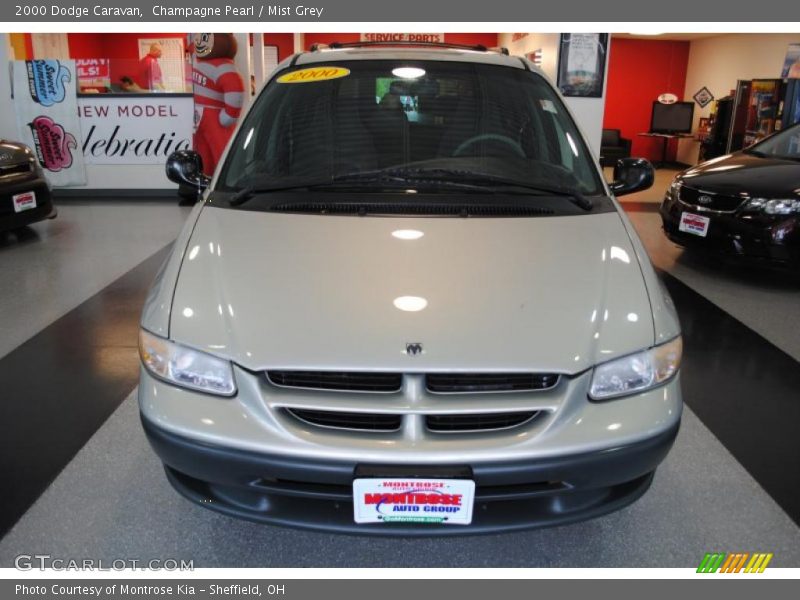 Champagne Pearl / Mist Grey 2000 Dodge Caravan