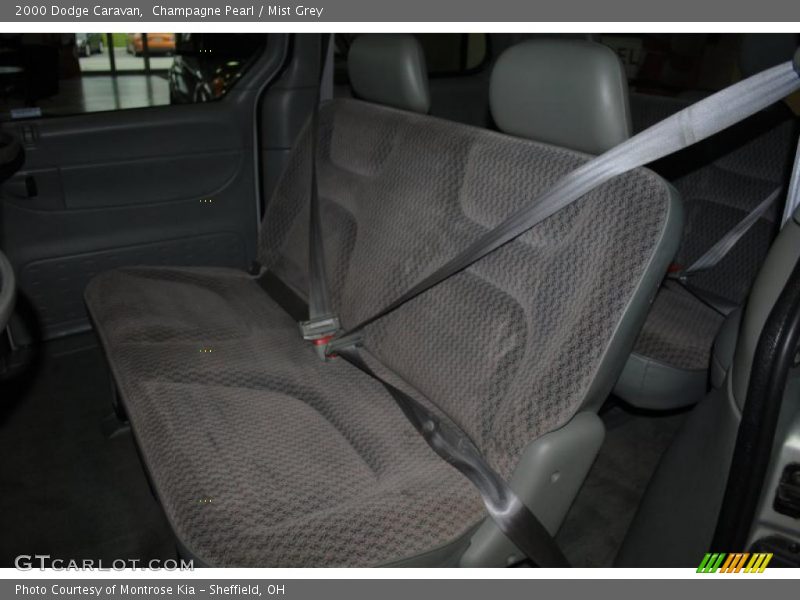 Champagne Pearl / Mist Grey 2000 Dodge Caravan
