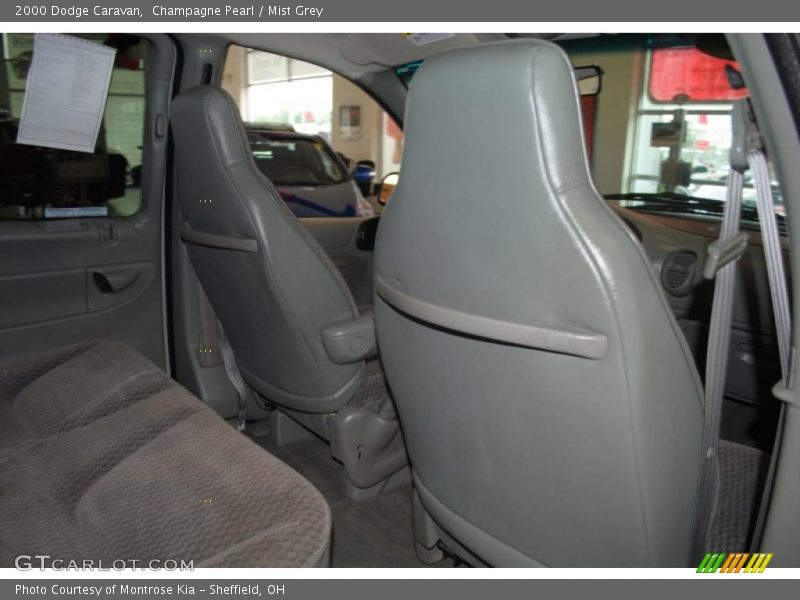 Champagne Pearl / Mist Grey 2000 Dodge Caravan