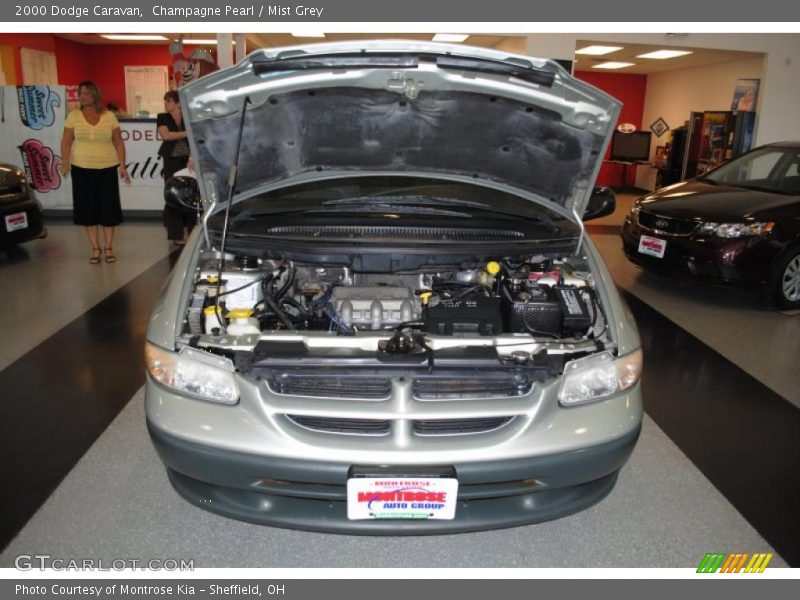 Champagne Pearl / Mist Grey 2000 Dodge Caravan