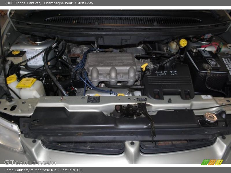 Champagne Pearl / Mist Grey 2000 Dodge Caravan