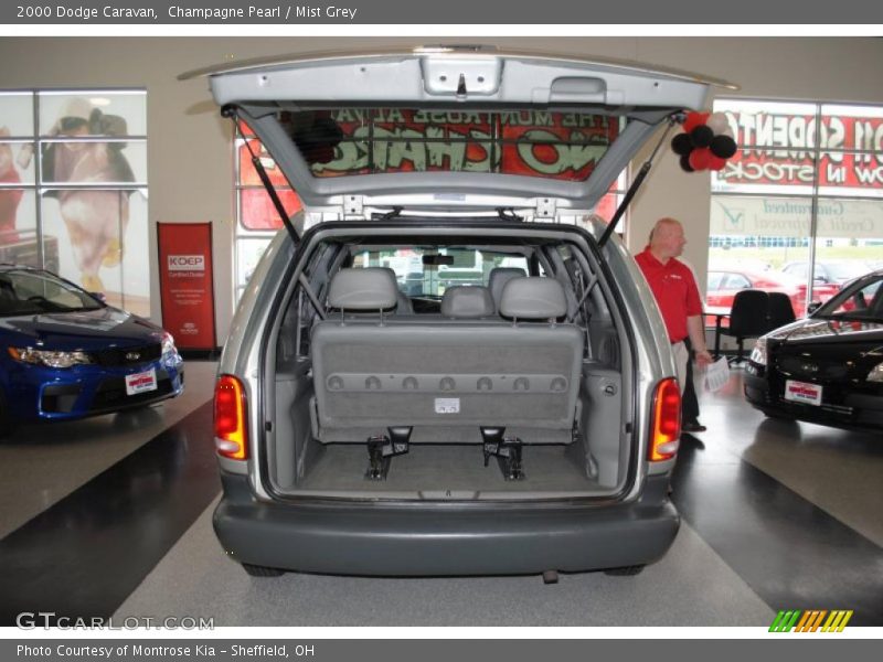 Champagne Pearl / Mist Grey 2000 Dodge Caravan
