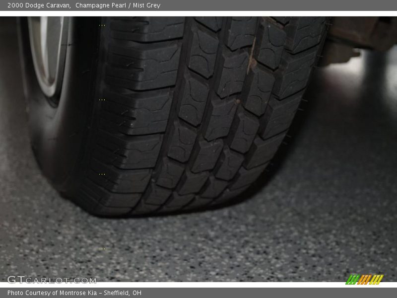 Champagne Pearl / Mist Grey 2000 Dodge Caravan