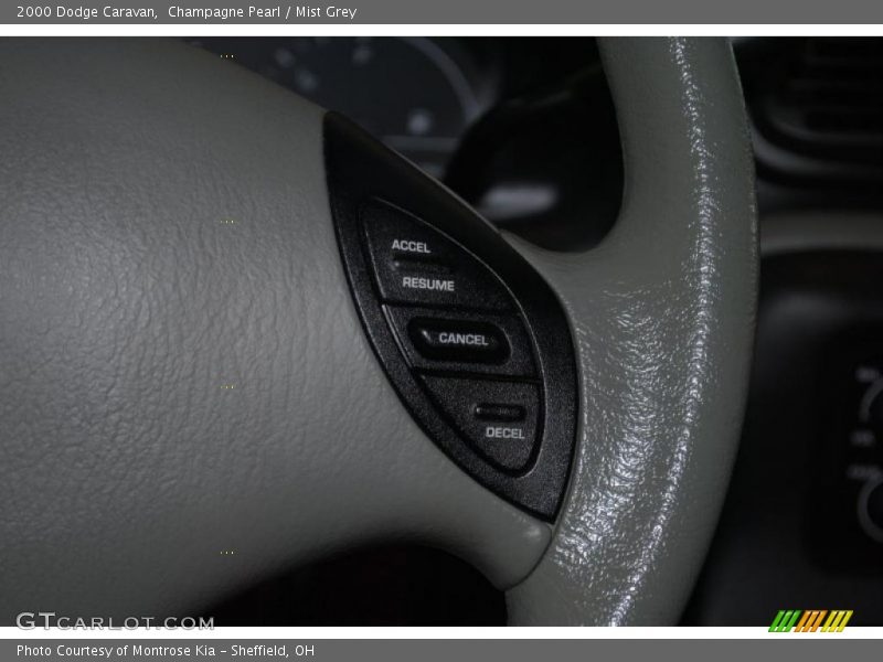 Champagne Pearl / Mist Grey 2000 Dodge Caravan