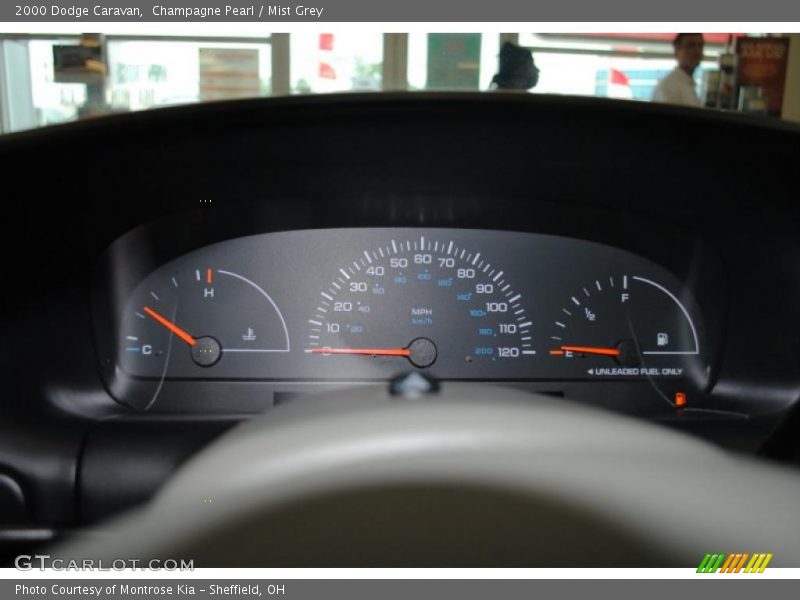 Champagne Pearl / Mist Grey 2000 Dodge Caravan