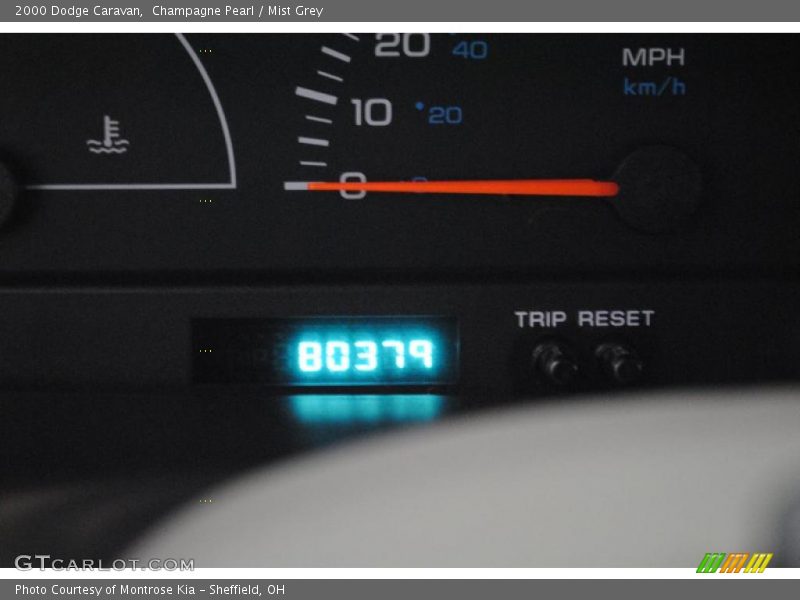 Champagne Pearl / Mist Grey 2000 Dodge Caravan