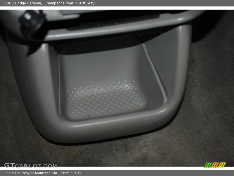 Champagne Pearl / Mist Grey 2000 Dodge Caravan
