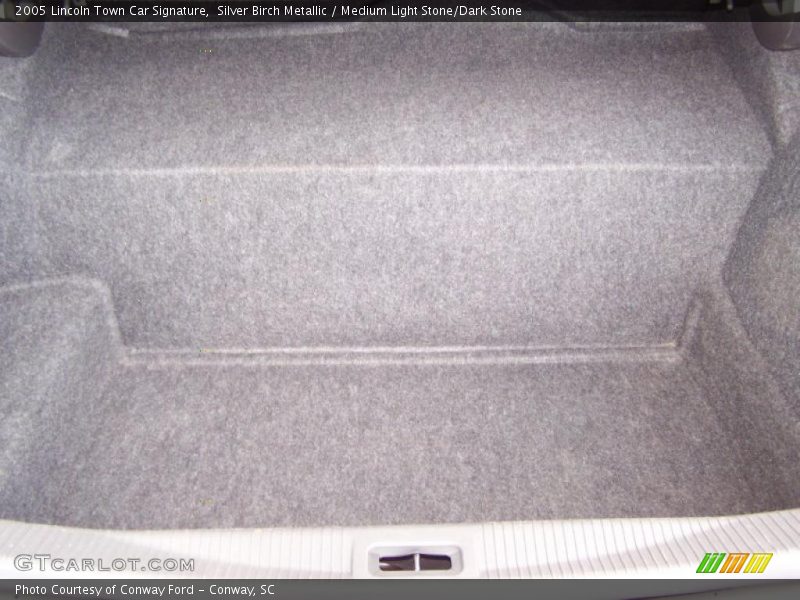 Silver Birch Metallic / Medium Light Stone/Dark Stone 2005 Lincoln Town Car Signature