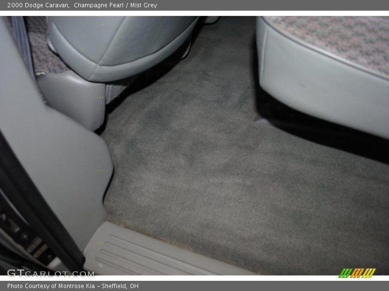 Champagne Pearl / Mist Grey 2000 Dodge Caravan