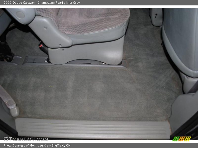 Champagne Pearl / Mist Grey 2000 Dodge Caravan