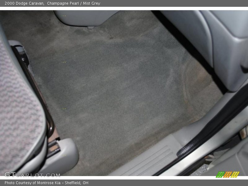 Champagne Pearl / Mist Grey 2000 Dodge Caravan