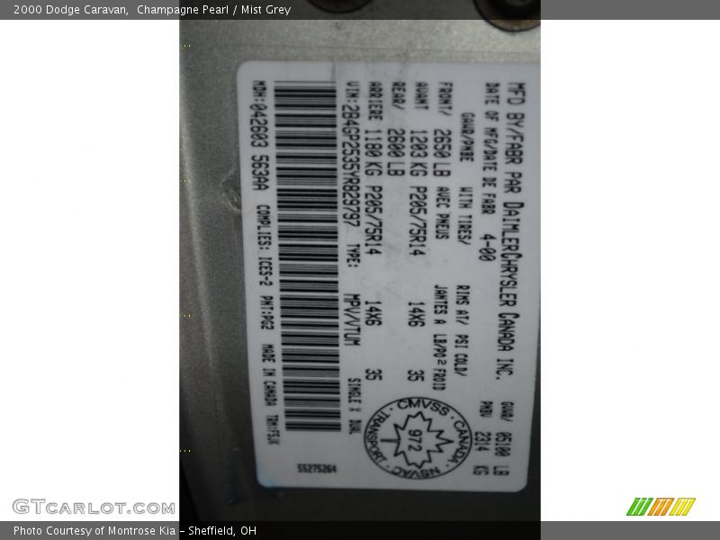 Champagne Pearl / Mist Grey 2000 Dodge Caravan