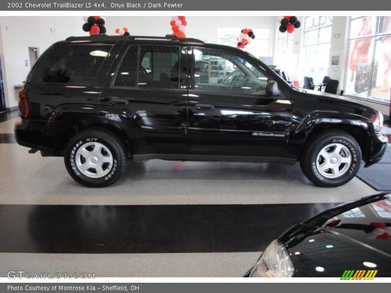 Onyx Black / Dark Pewter 2002 Chevrolet TrailBlazer LS 4x4