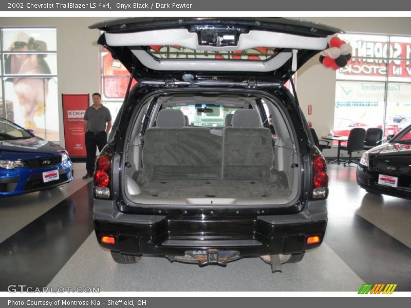 Onyx Black / Dark Pewter 2002 Chevrolet TrailBlazer LS 4x4