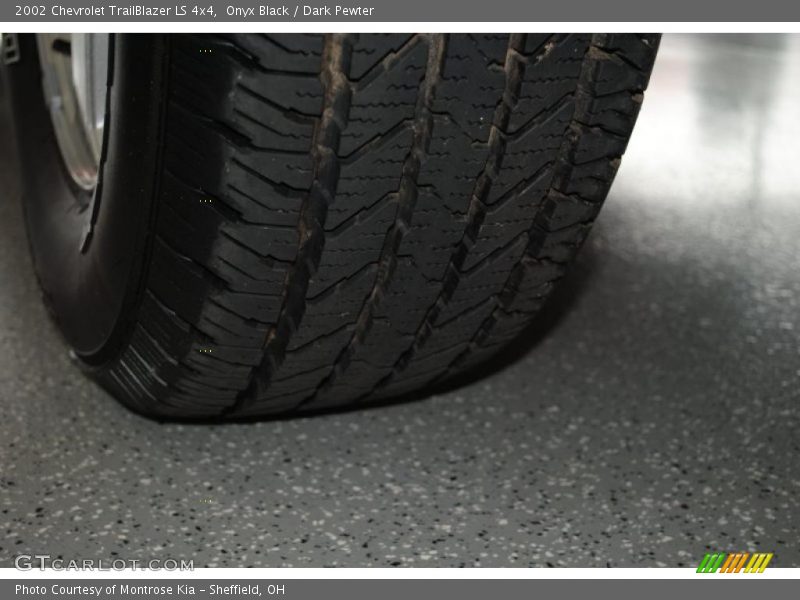 Onyx Black / Dark Pewter 2002 Chevrolet TrailBlazer LS 4x4