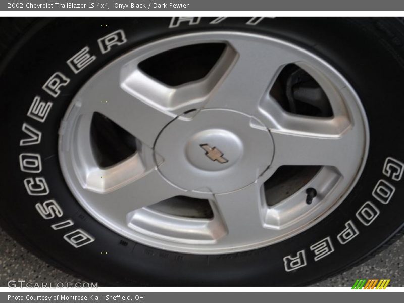 Onyx Black / Dark Pewter 2002 Chevrolet TrailBlazer LS 4x4