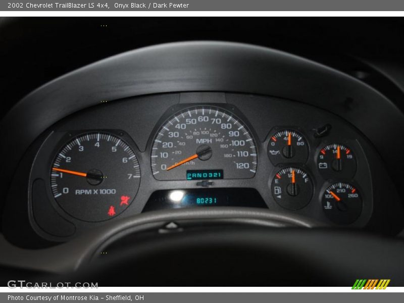 Onyx Black / Dark Pewter 2002 Chevrolet TrailBlazer LS 4x4