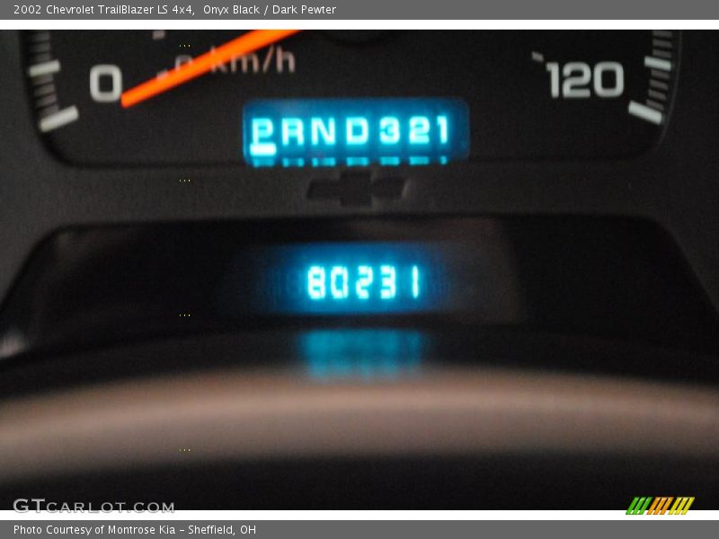 Onyx Black / Dark Pewter 2002 Chevrolet TrailBlazer LS 4x4