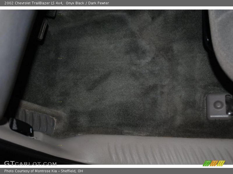 Onyx Black / Dark Pewter 2002 Chevrolet TrailBlazer LS 4x4