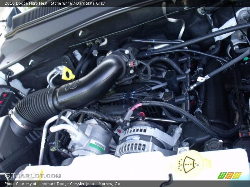 Stone White / Dark Slate Gray 2010 Dodge Nitro Heat