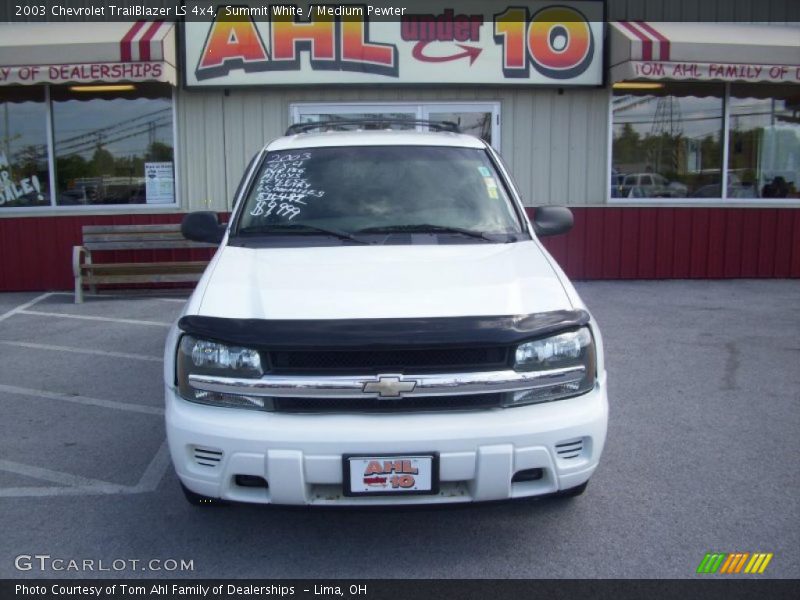 Summit White / Medium Pewter 2003 Chevrolet TrailBlazer LS 4x4