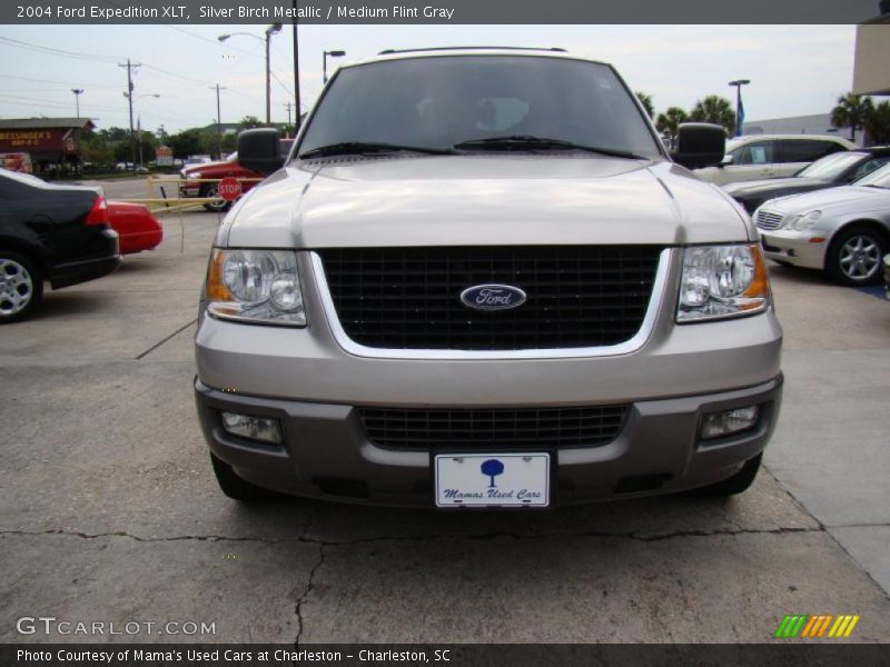 Silver Birch Metallic / Medium Flint Gray 2004 Ford Expedition XLT