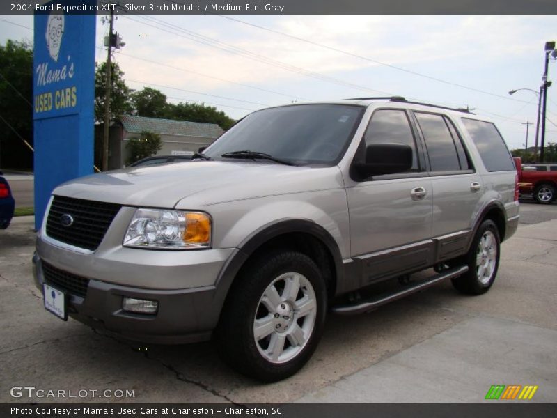 Silver Birch Metallic / Medium Flint Gray 2004 Ford Expedition XLT