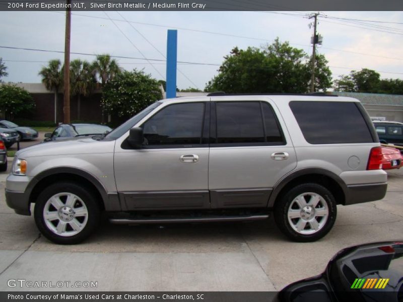 Silver Birch Metallic / Medium Flint Gray 2004 Ford Expedition XLT