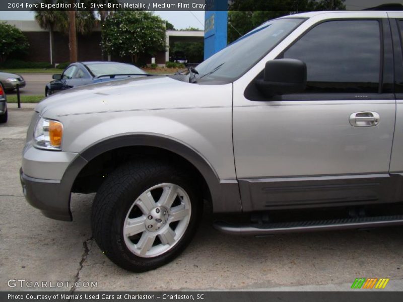 Silver Birch Metallic / Medium Flint Gray 2004 Ford Expedition XLT