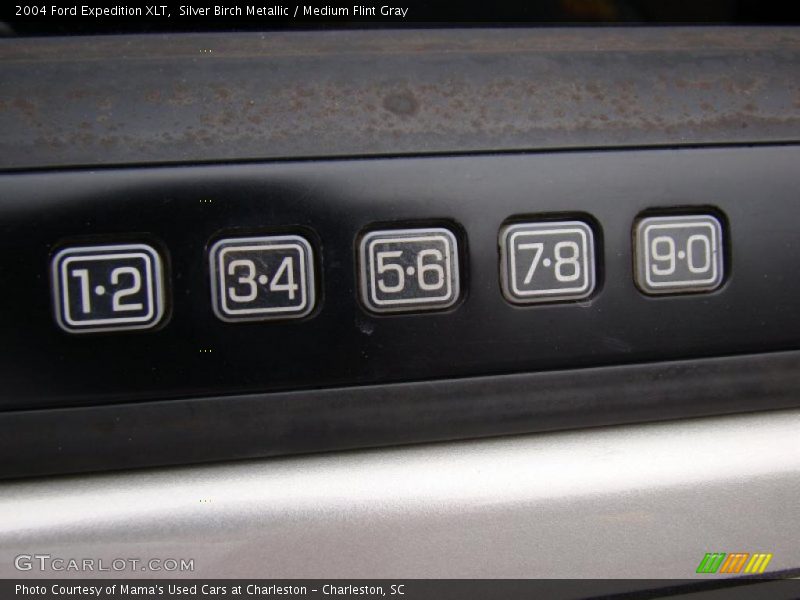 Silver Birch Metallic / Medium Flint Gray 2004 Ford Expedition XLT