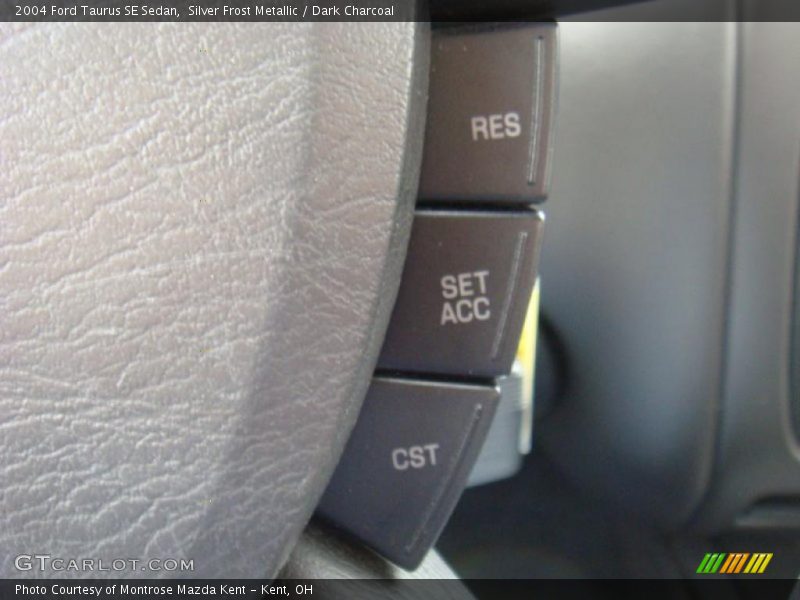 Silver Frost Metallic / Dark Charcoal 2004 Ford Taurus SE Sedan