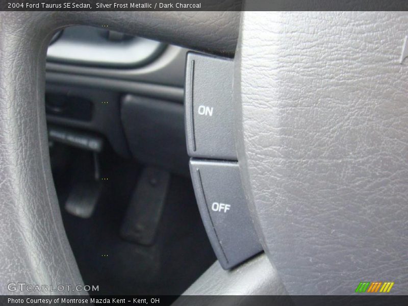 Silver Frost Metallic / Dark Charcoal 2004 Ford Taurus SE Sedan