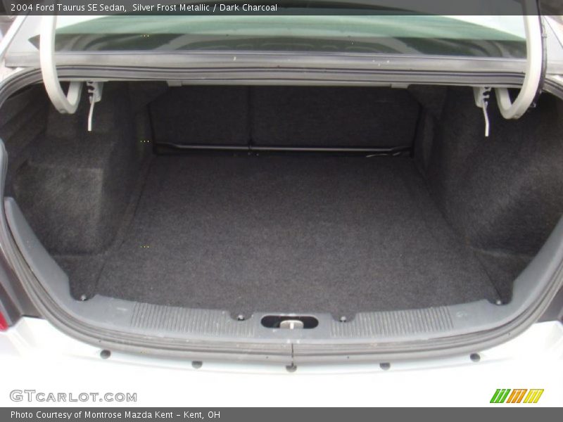 Silver Frost Metallic / Dark Charcoal 2004 Ford Taurus SE Sedan