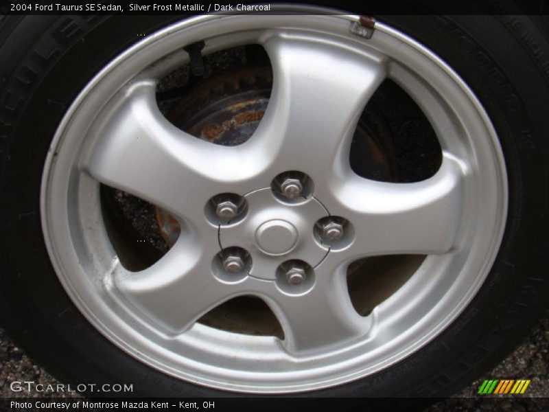 Silver Frost Metallic / Dark Charcoal 2004 Ford Taurus SE Sedan