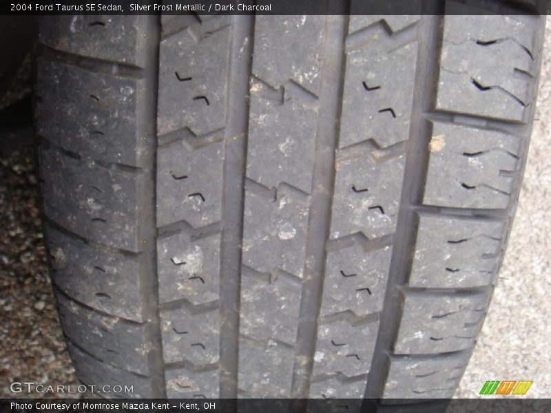 Silver Frost Metallic / Dark Charcoal 2004 Ford Taurus SE Sedan