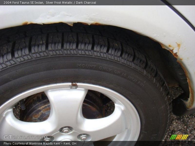 Silver Frost Metallic / Dark Charcoal 2004 Ford Taurus SE Sedan