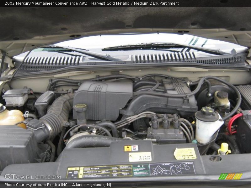 Harvest Gold Metallic / Medium Dark Parchment 2003 Mercury Mountaineer Convenience AWD