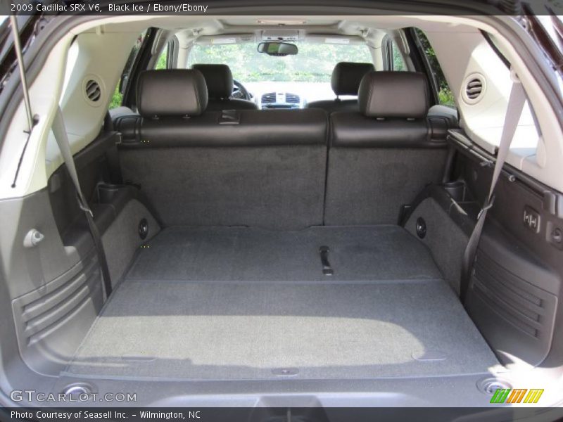 Black Ice / Ebony/Ebony 2009 Cadillac SRX V6