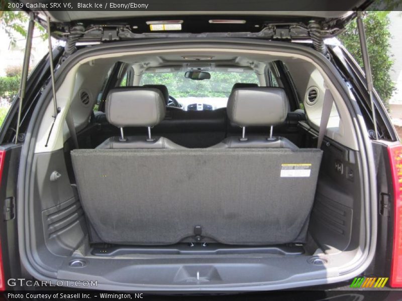 Black Ice / Ebony/Ebony 2009 Cadillac SRX V6