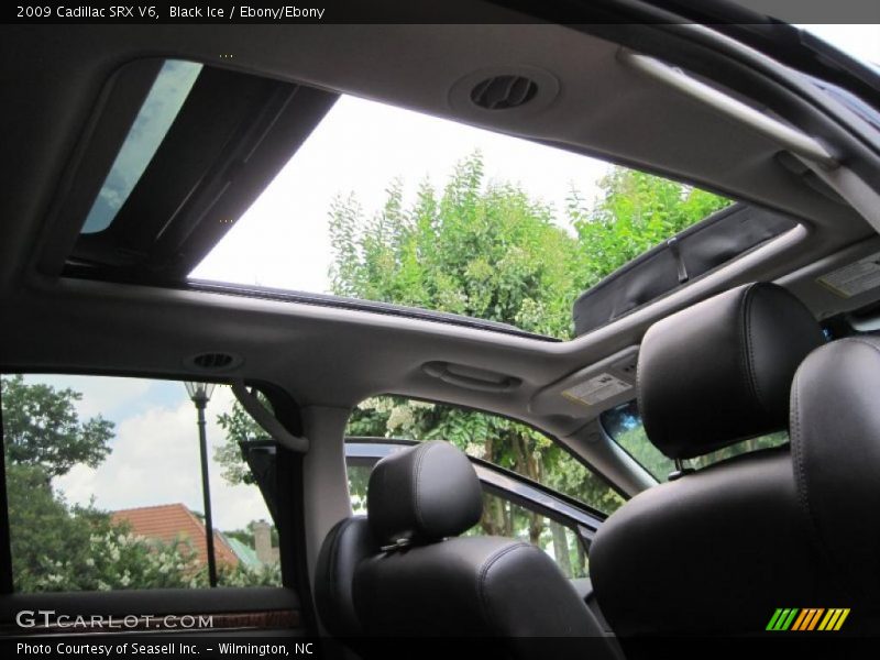 Black Ice / Ebony/Ebony 2009 Cadillac SRX V6