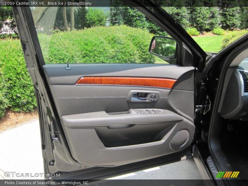Black Ice / Ebony/Ebony 2009 Cadillac SRX V6