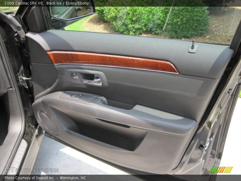 Black Ice / Ebony/Ebony 2009 Cadillac SRX V6