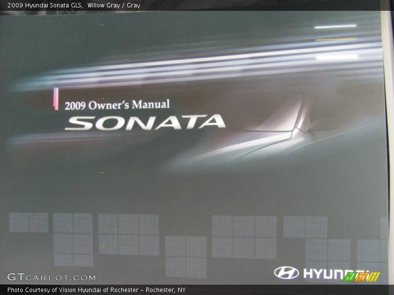 Willow Gray / Gray 2009 Hyundai Sonata GLS