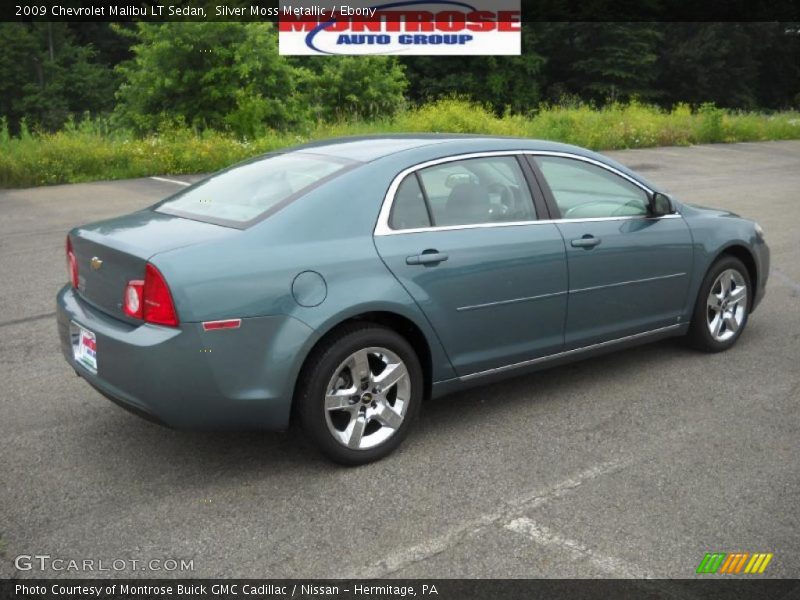 Silver Moss Metallic / Ebony 2009 Chevrolet Malibu LT Sedan