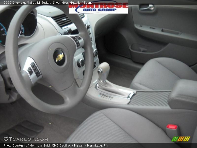 Silver Moss Metallic / Ebony 2009 Chevrolet Malibu LT Sedan