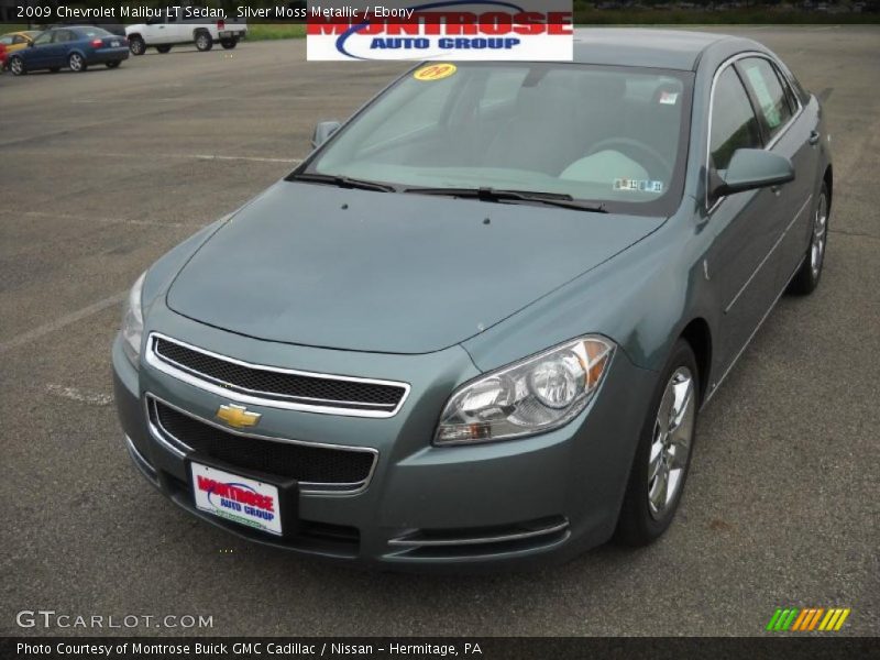 Silver Moss Metallic / Ebony 2009 Chevrolet Malibu LT Sedan