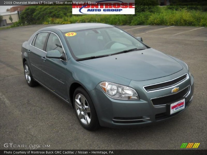 Silver Moss Metallic / Ebony 2009 Chevrolet Malibu LT Sedan