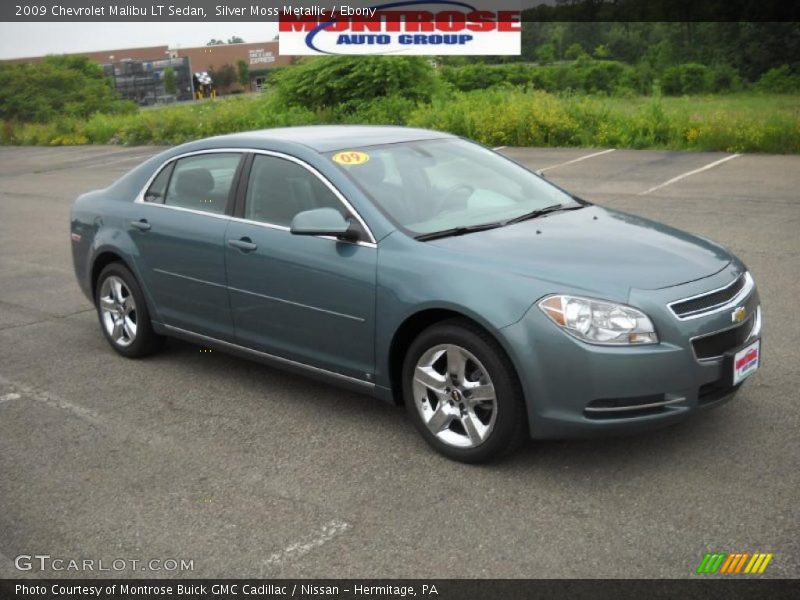 Silver Moss Metallic / Ebony 2009 Chevrolet Malibu LT Sedan