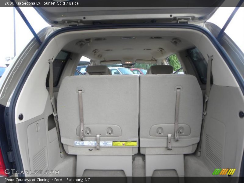 Sunset Gold / Beige 2006 Kia Sedona LX